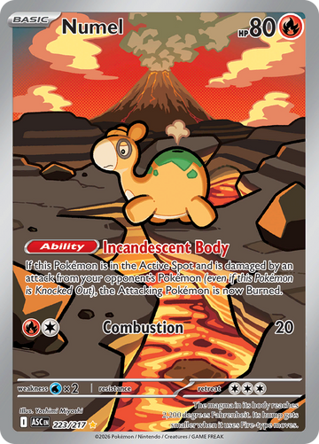 Numel ASC 223/217