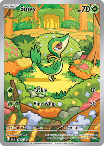 Snivy BLK 087