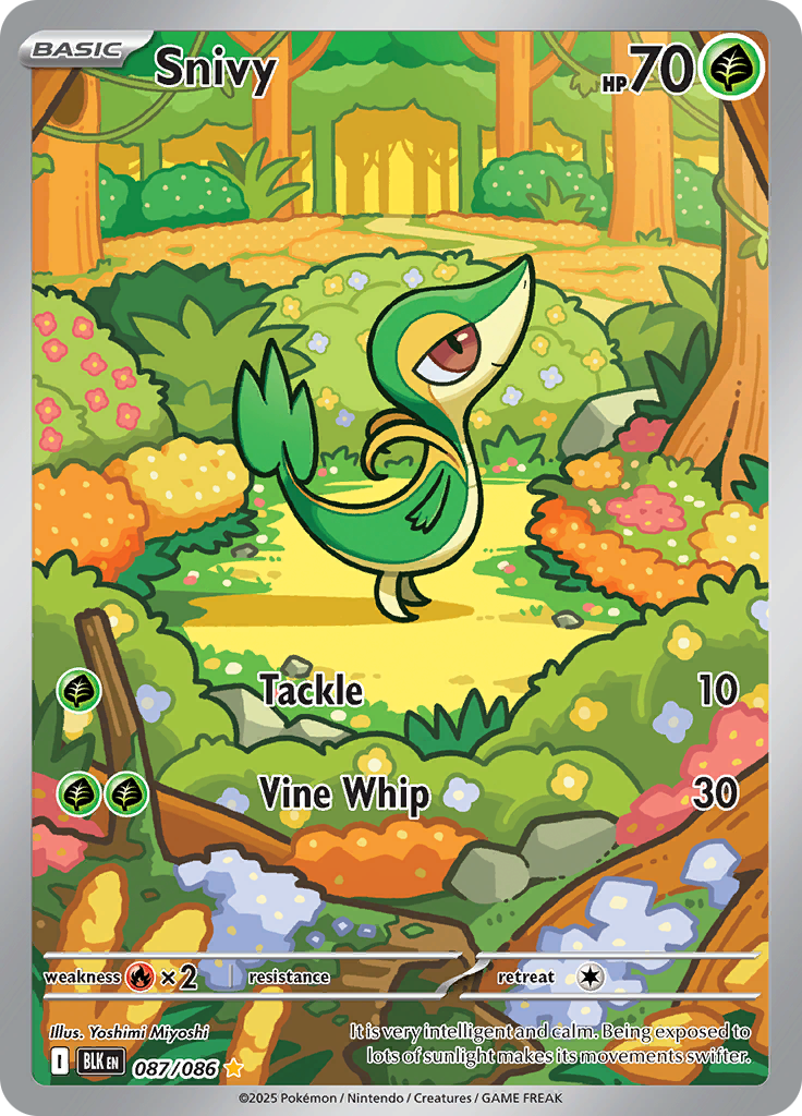 Snivy BLK 087