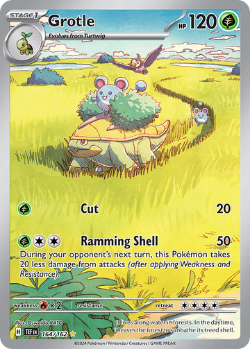 Grotle TEF 164/162