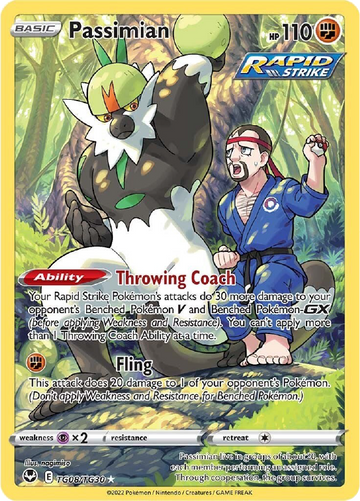 Passimian SIT TG08/TG30