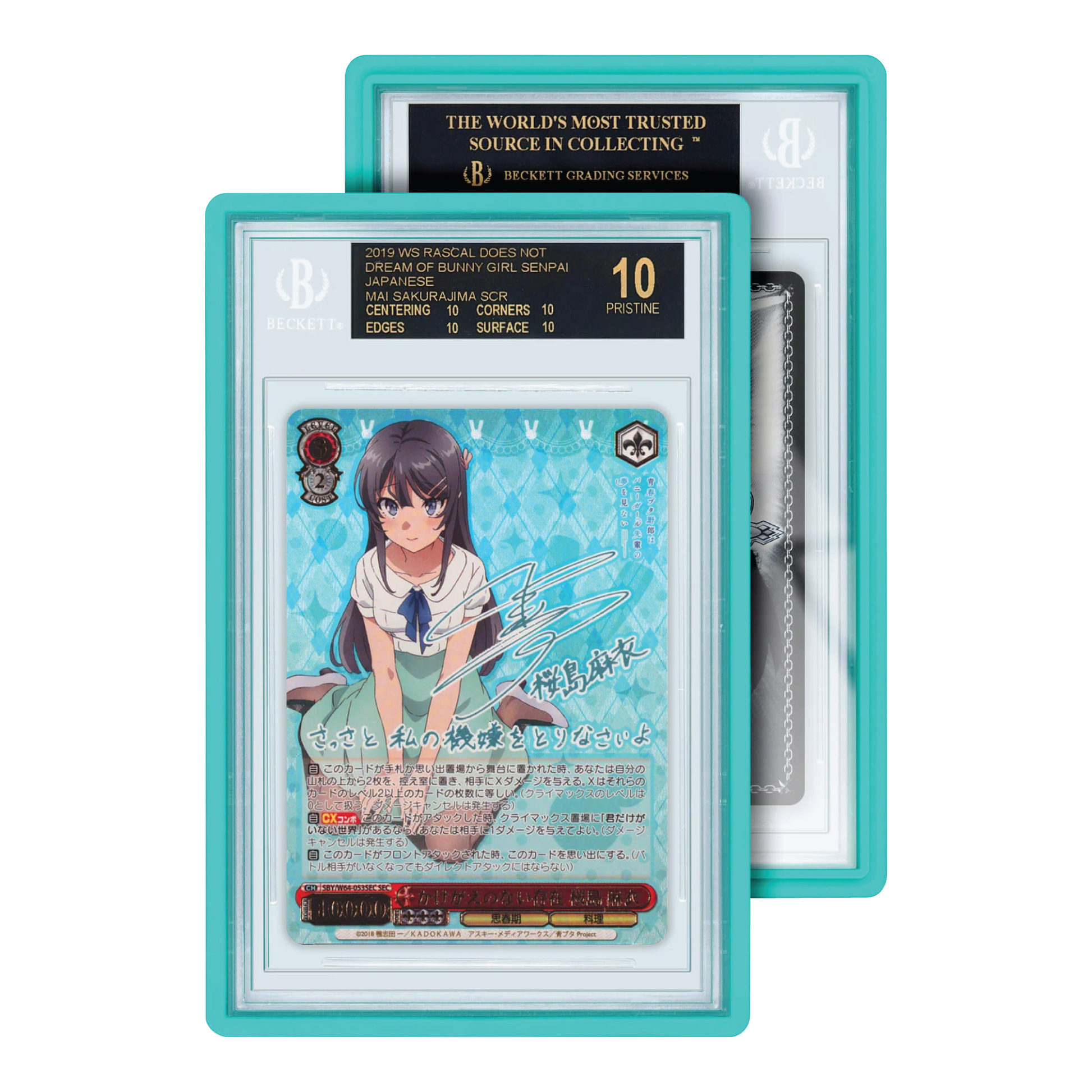 GradedGuard Standard Case BGS Mint