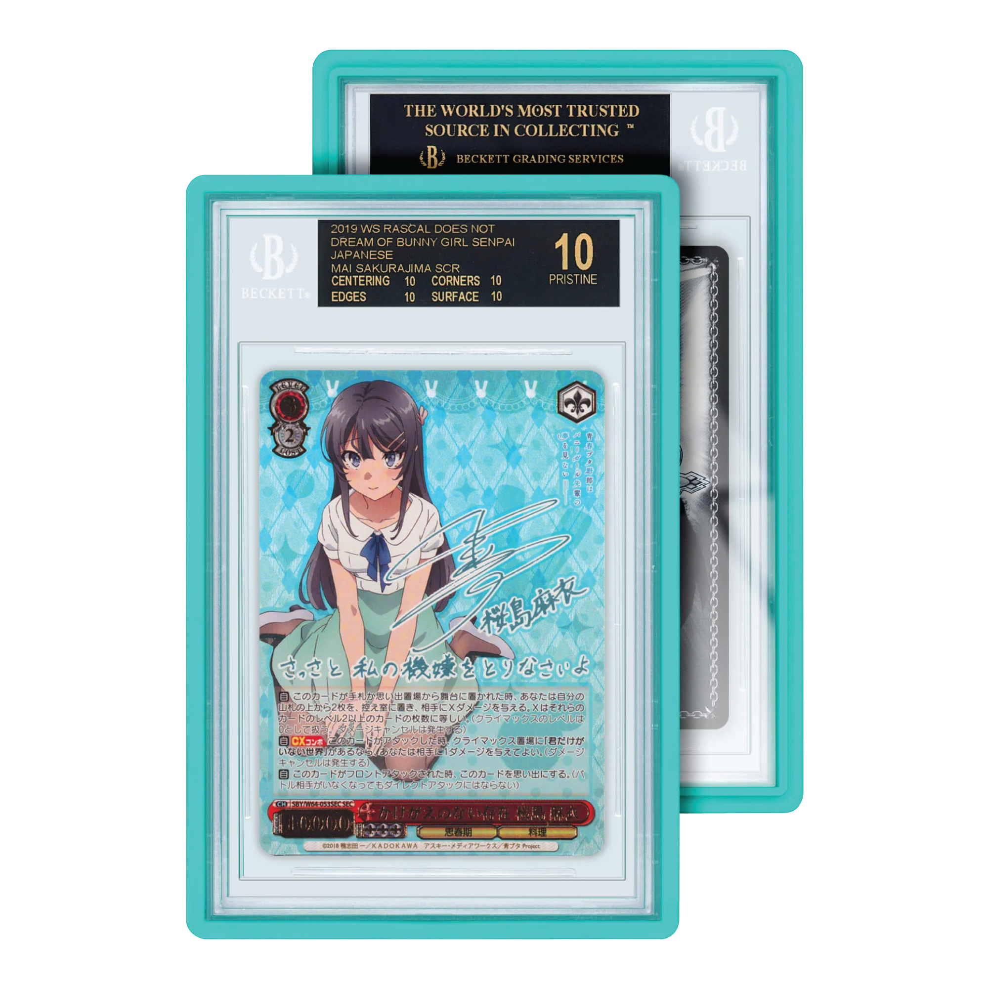 GradedGuard Standard Case BGS Mint