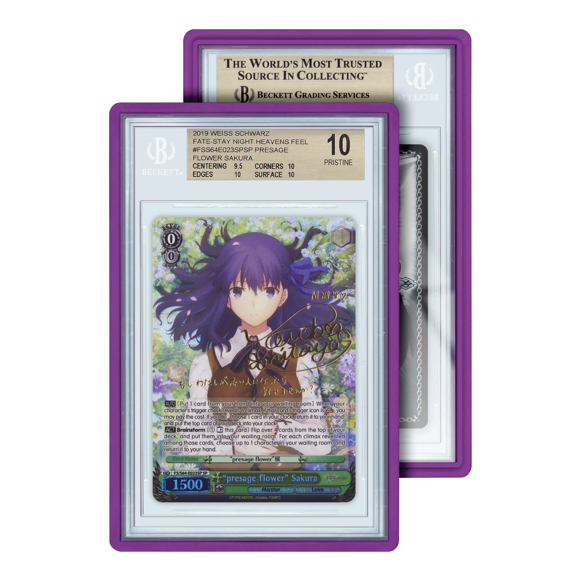 GradedGuard Standard Case BGS Purple