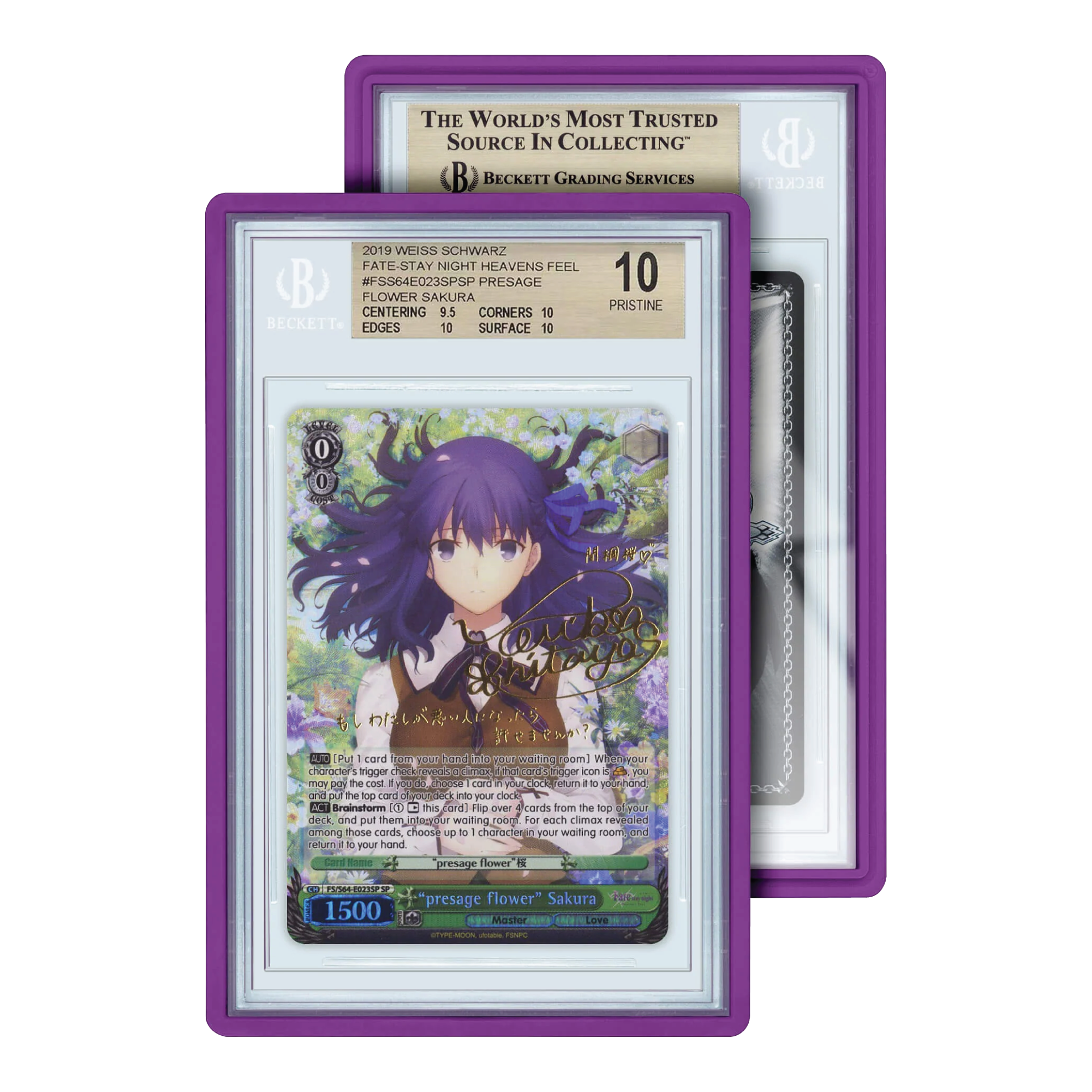 GradedGuard Standard Case BGS Purple