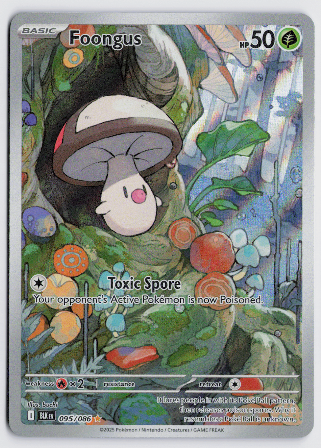 Foongus BLK 095/086