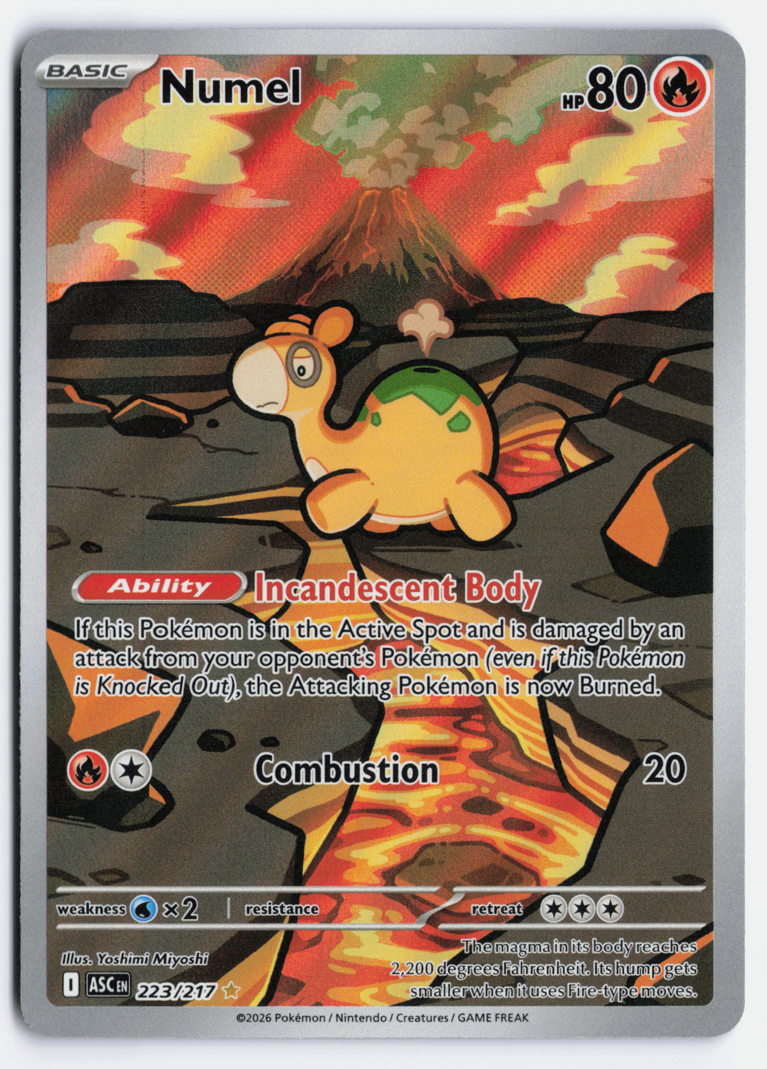 Numel ASC 223/217
