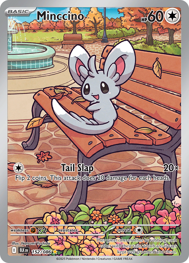 Minccino BLK 152/086
