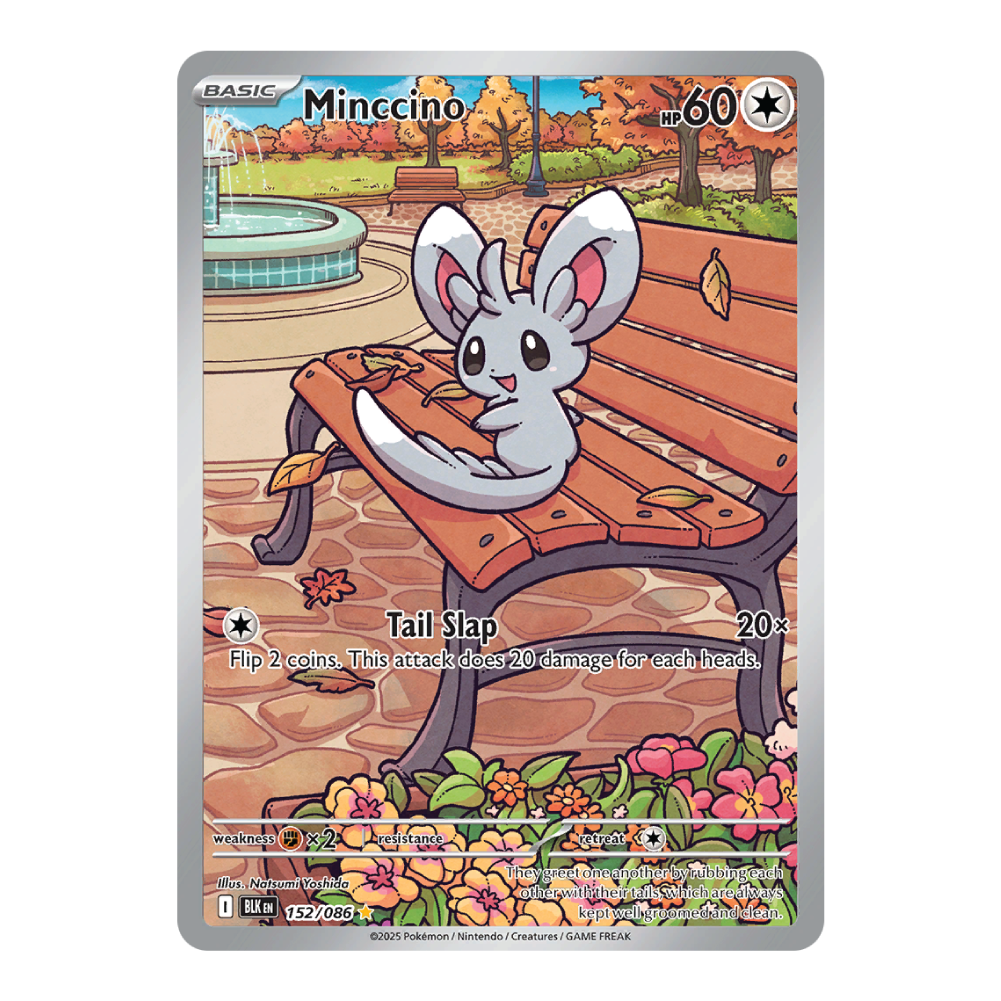 Minccino BLK 152/086
