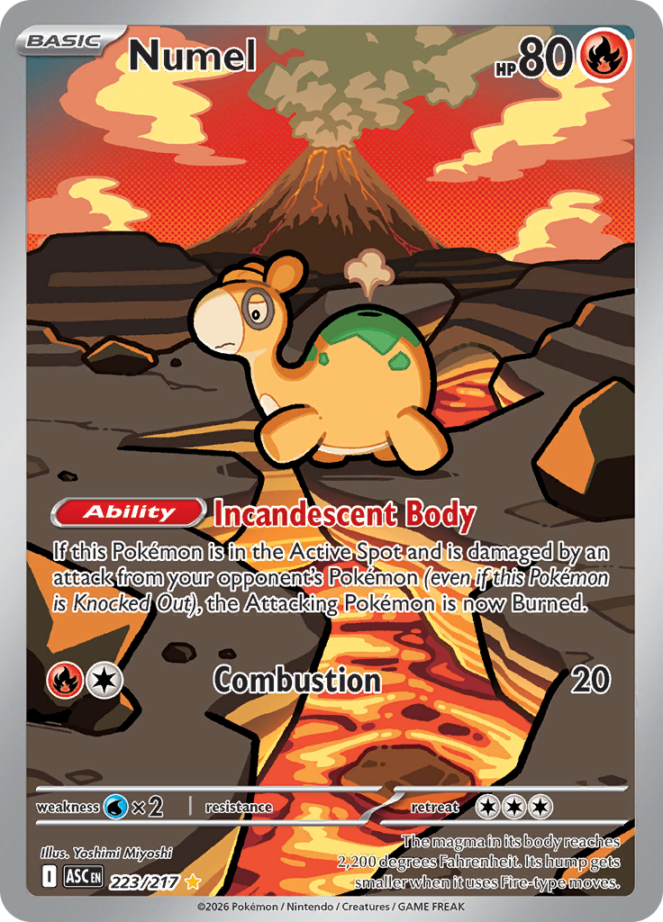 Numel ASC 223/217