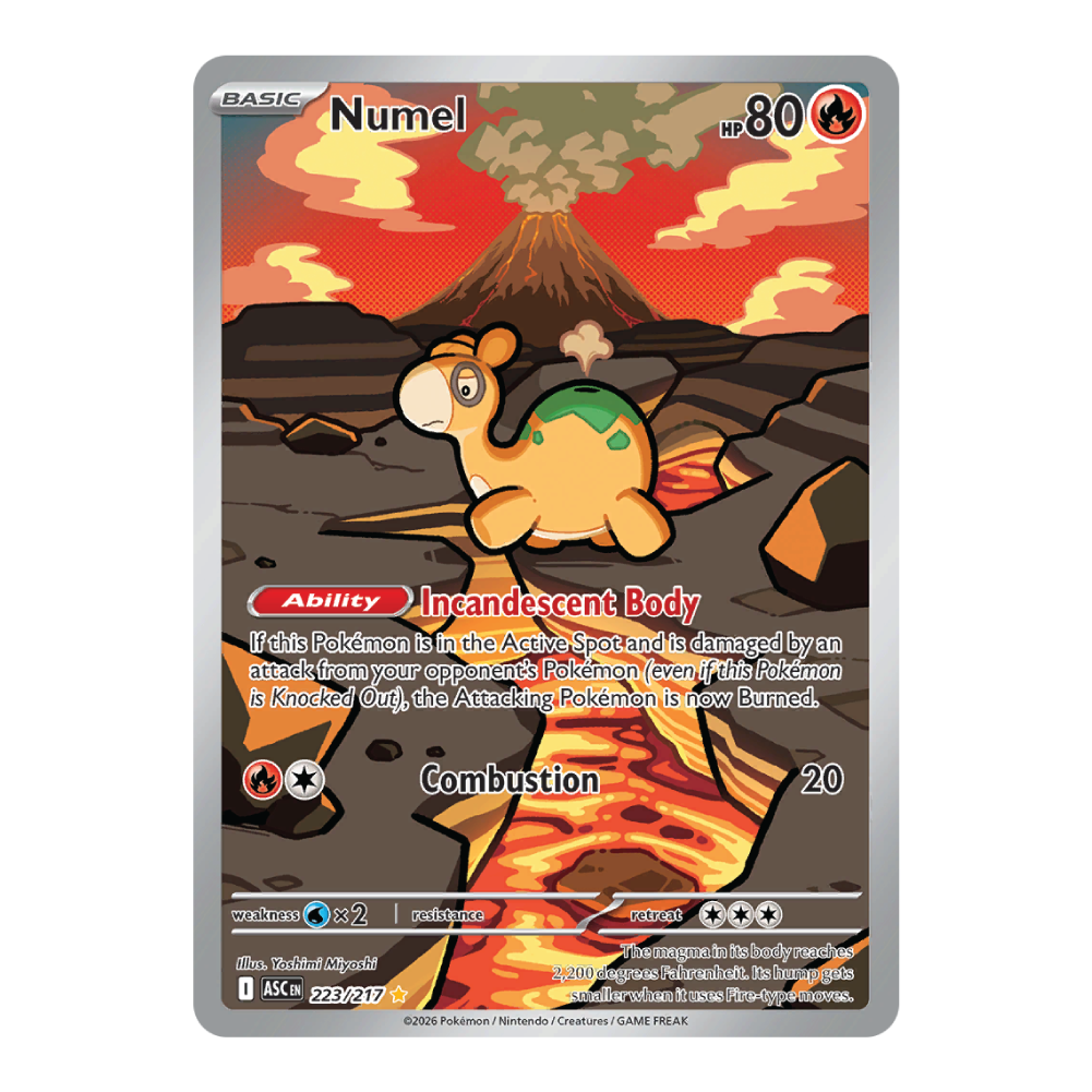 Numel ASC 223/217