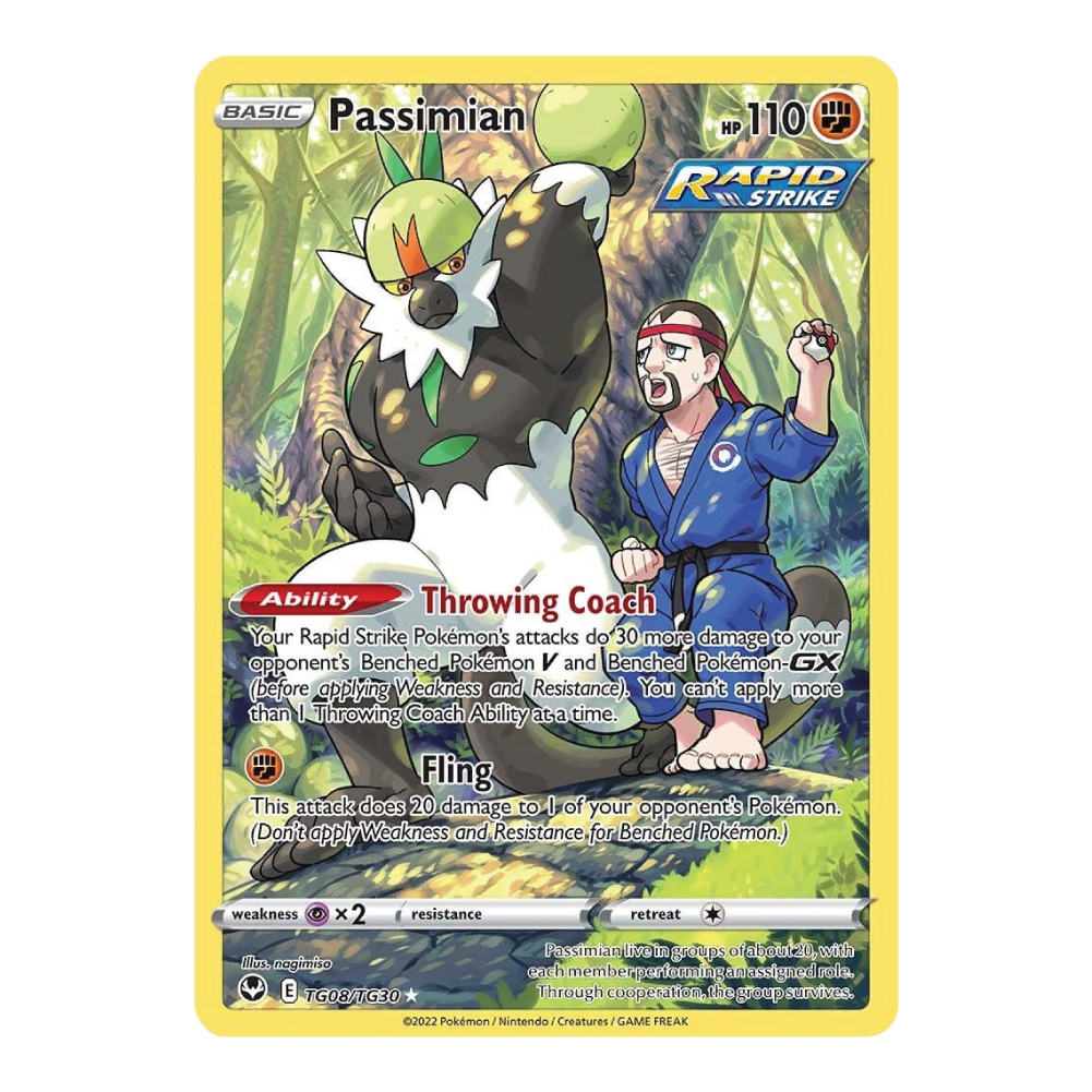 Passimian SIT TG08/TG30